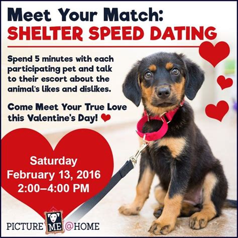 8 Valentine Fundraiser Ideas For Your Rescue Or Shelter Animal