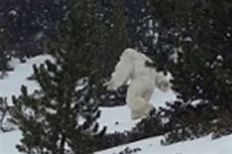 True Story Of Mysterious Yeti Spotted In Spanish Mountains Finally