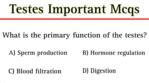 Testes Mcq Male Reproductive System Youtube