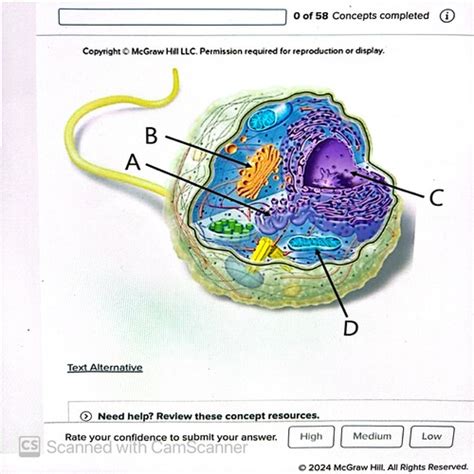 Chapter 5 Micro Flashcards Quizlet