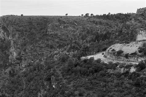 Aerial Grayscale View Of A Mountainside Covered With Trees Stock Photo