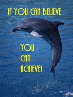 Dolphin quotes, Dolphin images, Ocean fun