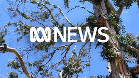 ABC News Mornings : ABC iview