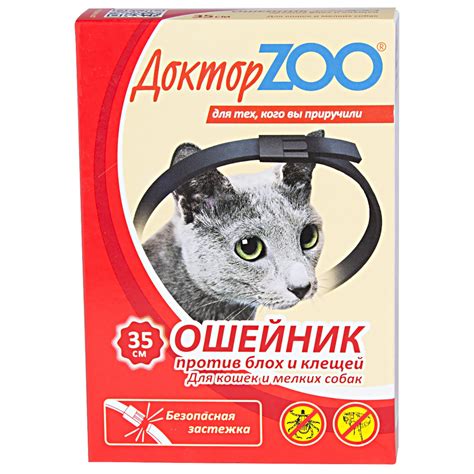 Помогают ли кошкам ошейники от блох: Эффективен ли ошейник от блох для ...