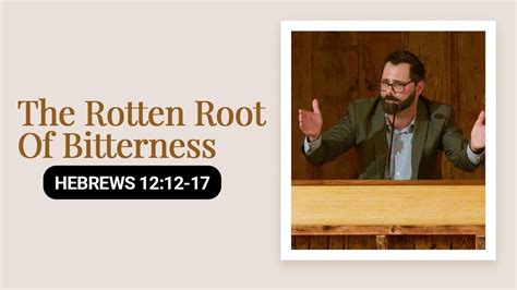 The Rotten Root Of Bitterness Hebrews 12 12 17 YouTube