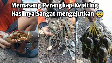 Memasang Perangkap Kepiting Dengan Amang Ijat Hasilnya Jutaan YouTube