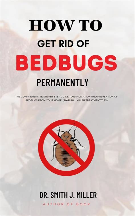 How To Get Rid Of Bed Bugs Permanently The Comprehensive Step By Step