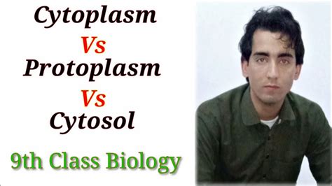 Cytoplasm Protoplasm Cytosol Chapter 4 Biology Class 9th Lec 13 Youtube