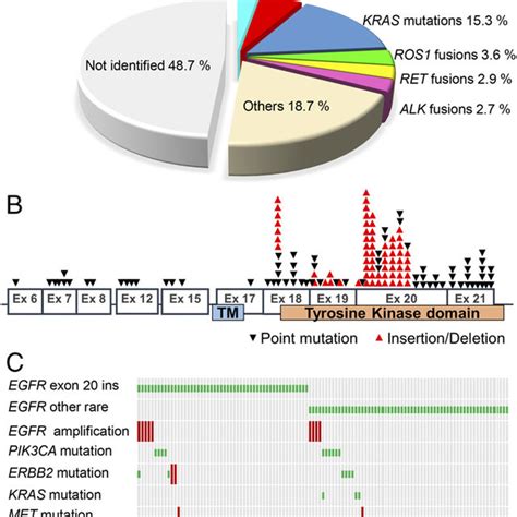 Calculation Of Binding Energy Values For Egfr Exon Insertion