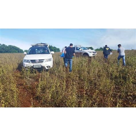 Jovem Confessa Que Estuprou E Matou Menina De 6 Anos Estrangulada