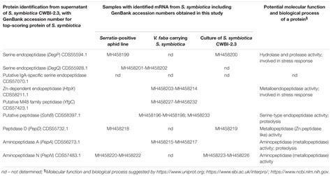 Frontiers Transmission Of A Protease Secreting Bacterial Symbiont