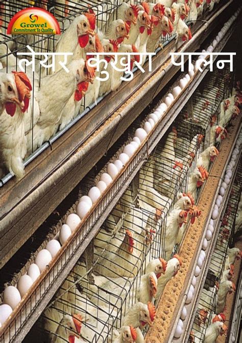 लेयर कुखुरा पालन पुस्तिका Layer Poultry Farming Guide In Nepali