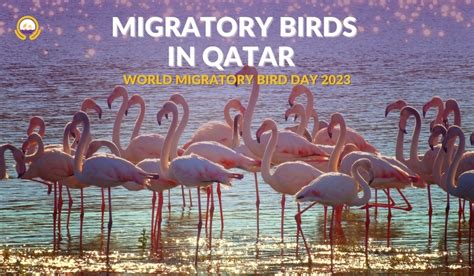 WORLD MIGRATORY BIRD DAY 2023