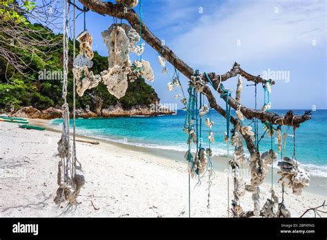 Hanging Coral On Romantic Beach Perhentian Islands Terengganu