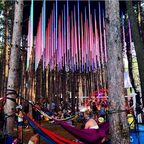 A Group Of People Sitting In Hammocks Surrounded By Trees With Colored