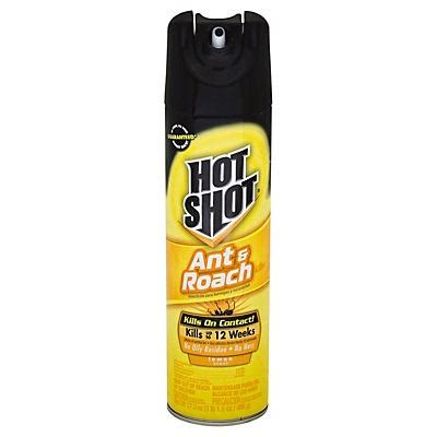 Hot Shot Lemon Scent Ant And Roach Killer Insecticide Spray 17 5 Oz Shipt
