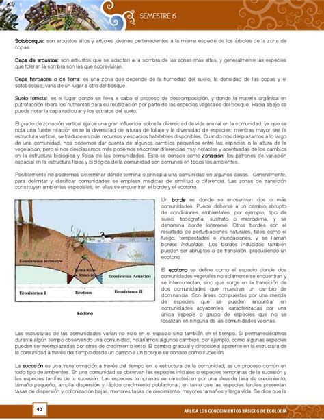 Cditec Prepa Ecolog A Y Medio Ambiente Sexto Semestre