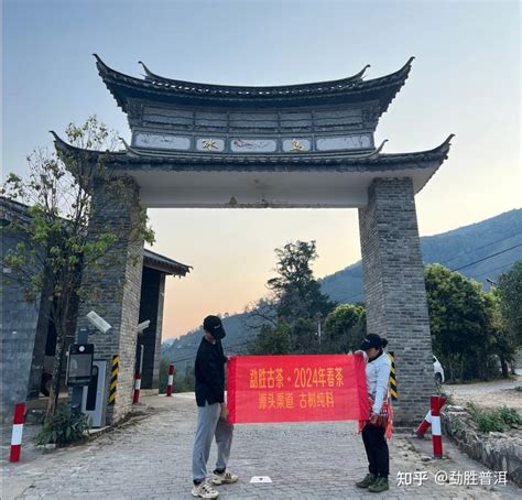 你知道各个名山头的普洱茶都有哪些特点吗？手把手教你喝懂普洱茶！ 知乎