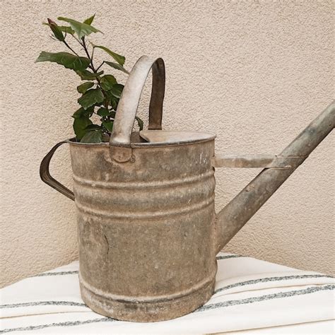 Galvanized Watering Can Planter Etsy