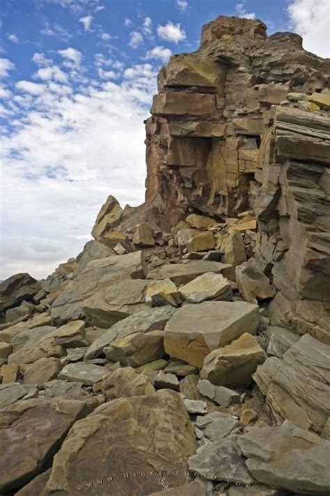 Fossil Cliffs Joggins Bay Of Fundy Nova Scotia Photo Information