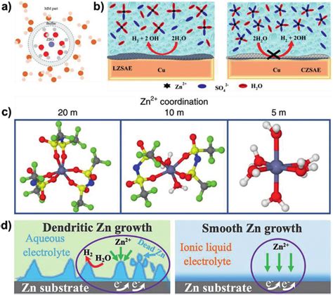 A A Simulation Scheme Of Hydrated Zn 2 Environment In Normal Aqueous Download Scientific