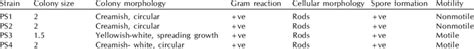 Morphological characterization of isolates | Download Table 