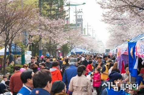 우리 마을에서 즐기는 벚꽃축제