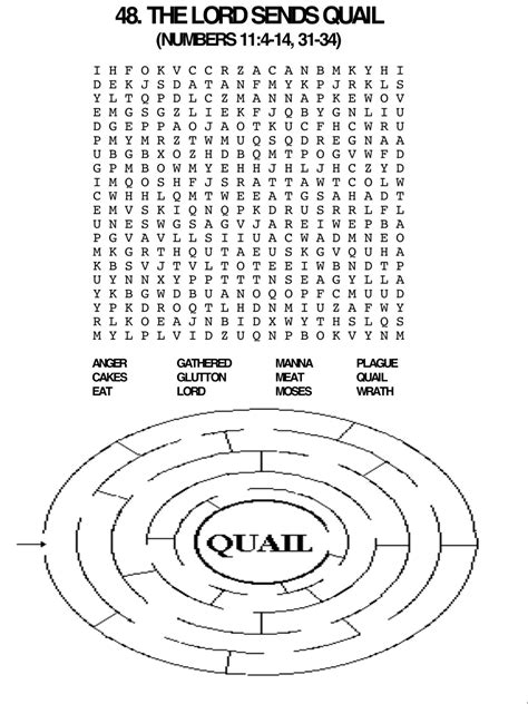 Quail Word Search And Maze Sunday School Kids Bible School Crafts