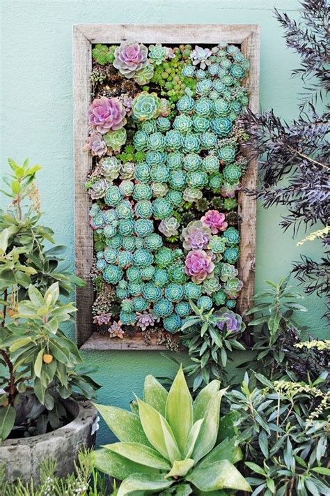 Plantas Como Dise Ar Un Jardin