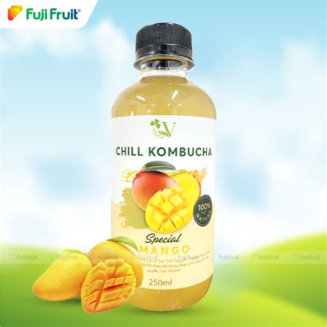 Trà Chill Kombucha 250ml Fujifruit