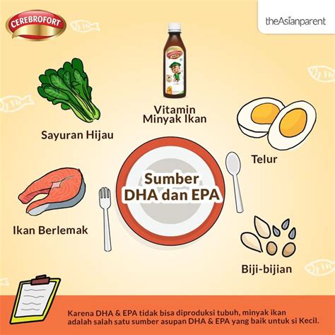 Dha Dan Epa Adalah Asupan Asam Lemak Dengan Segudang Manfaat Yang