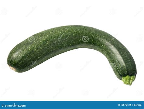 One Green Zucchini Stock Photo Image Of Culture Marrow 10575424