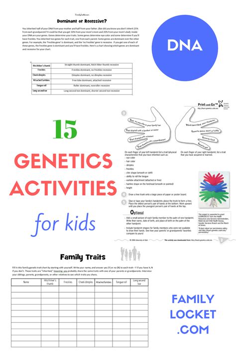 Genetics Student Practice Sheet