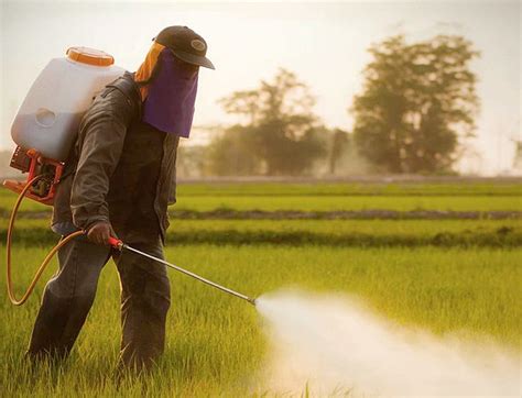 Glyphosate Slow Food Asks Eu Member States To Take A Stand Against The