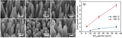 Ac Tilted Sem Images Of Vertically Aligned Zno Nws With A Si