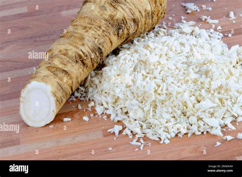 Grated Horseradish Root Armoracia Rusticana Horseradish Grated