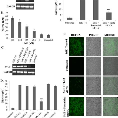 SslE Induces Secretion Of Several M1 Chemokines In RAW 264 7 Cells A