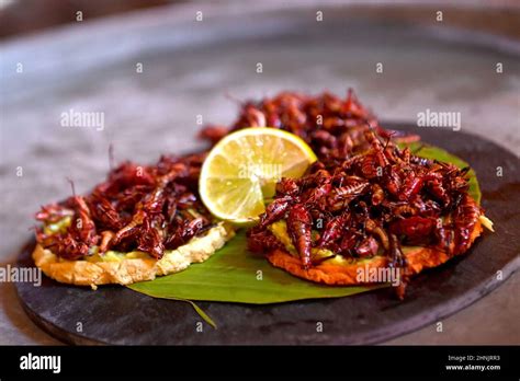 Mexican Food Tasted Chapulines Or Grasshoppers A Regional Speciality In