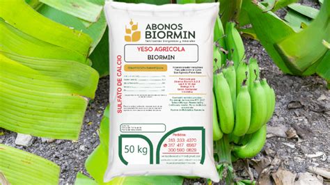 Qué es el YESO AGRÍCOLA Abonos Biormin Fertilizantes biorgánicos