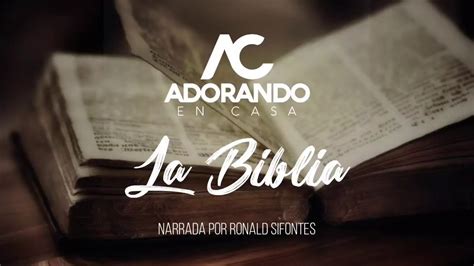 La Biblia Narrada Salmo Nvi Youtube