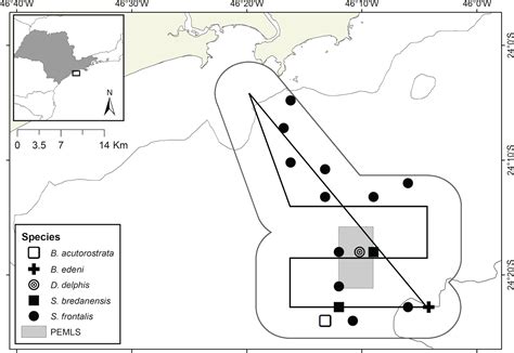 SciELO Brasil Cetaceans Using The Marine Protected Area Of Parque