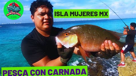 Cómo pescar con carnada desde las rocas en el mar caribe isla mujeres