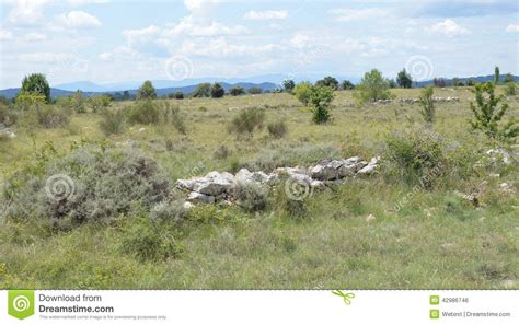 Coastal Garrigue Photos - Free & Royalty-Free Stock Photos from Dreamstime