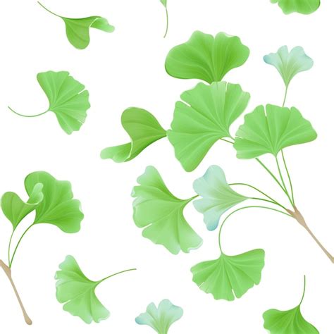 Page 6 Images De Feuille Ginkgo Biloba Téléchargement Gratuit Sur