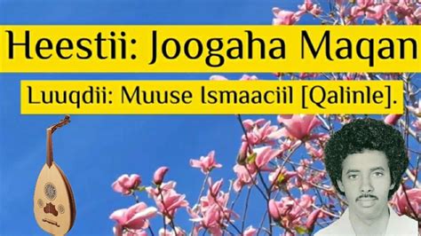 Muuse Ismaaciil Qalinle Joogaha Maqan Lyrics Youtube