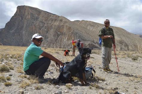 Trekking In Himalayas Visit Kailash Treks