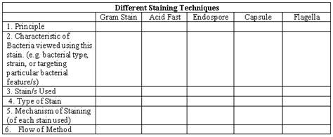 Solved Different Staining Techniques Gram Stain Acid Fast | Chegg.com 