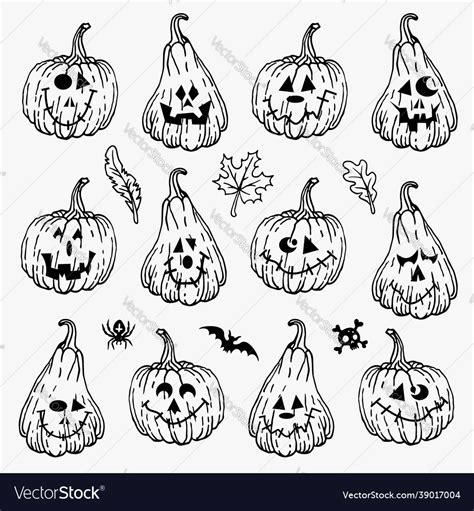 Set Various Hand Drawn Halloween Pumpkins Vector Image