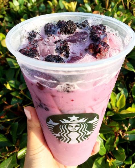 Purple Drink Starbucks Hot Sex Picture