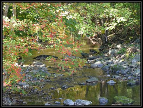 Road Trippin' - Autumn in Vermont | Life As I See It